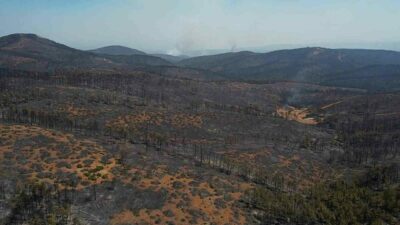 Bursa’nın Harmancık ilçesinde çıkan yangın sürüyor. Gece gündüz demeden müdahalede