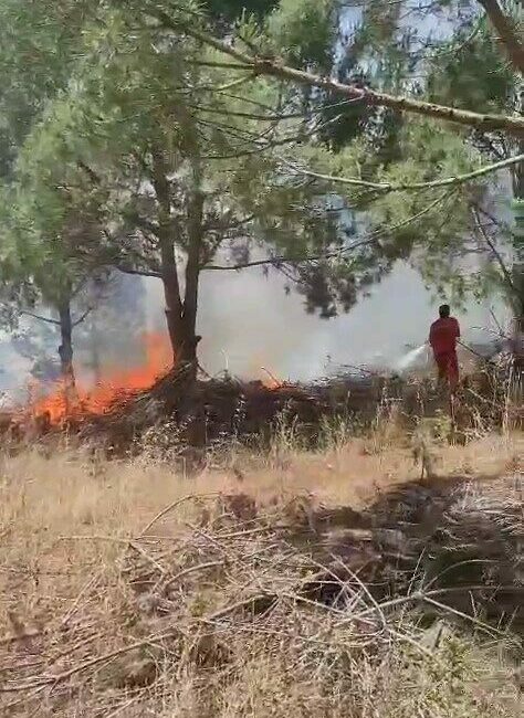 Bursa’nın Nilüfer ilçesinde ağaçlık alanda çıkan yangına havadan ve karadan
