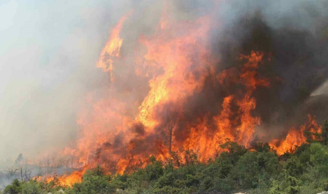 Bursa’da alevler tekrar yükseldi Bursa’nın Harmancık ilçesi Meyran Rampası mevkisinde orman yangını yeniden etkili