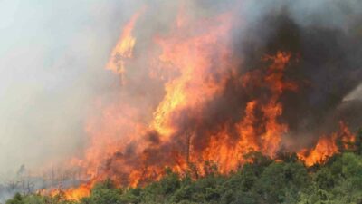 Bursa’nın Harmancık ilçesi Meyran Rampası mevkisinde orman yangını yeniden etkili