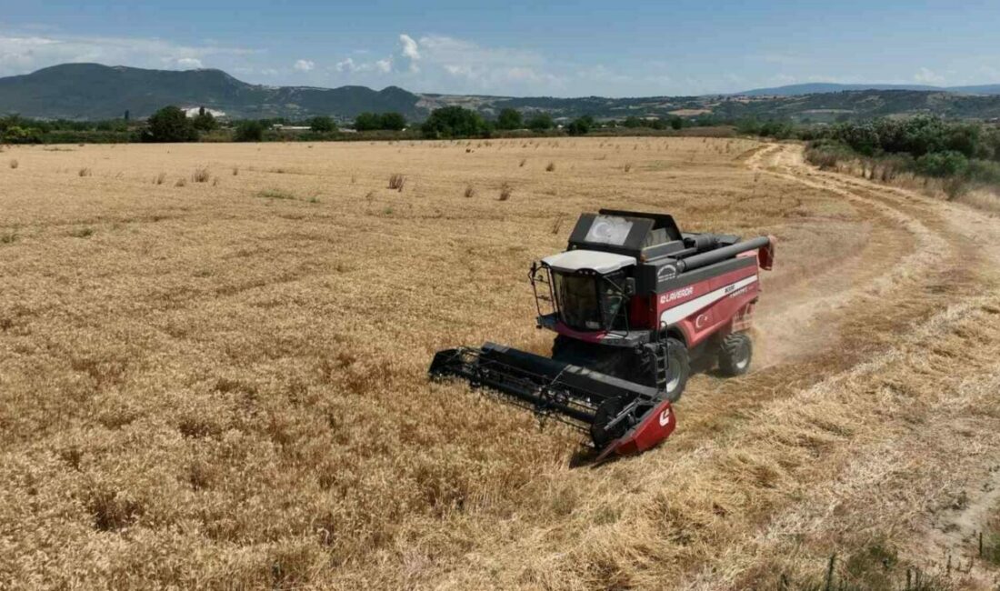 Bursa’da Büyükşehir desteği ile hasat zamanı Bursa Büyükşehir Belediyesi’nin üreticilere destek olmak amacıyla Mustafakemalpaşa Belediyesi iş