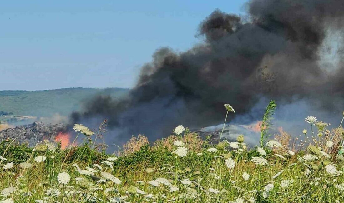 Bursa’da Mustafakemalpaşa ilçesinde bir besi çiftliğinde çıkan yangın 3 bölgeye
