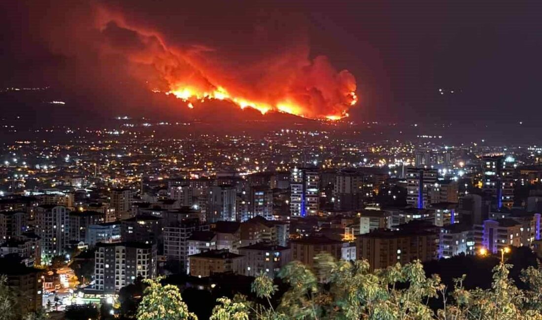 Kestel ile Gürsu ilçeleri arasındaki ormanlık alanda başlayan yangın, gece