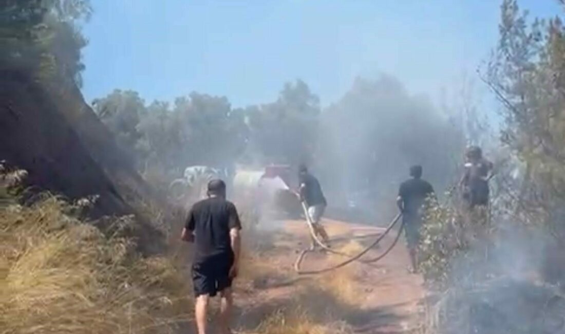Bursa’da korkutan orman yangını Bursa’nın Gemlik ilçesi Kurşunlu Mahallesi’nde dün öğle saatlerinde ormanlık alanda