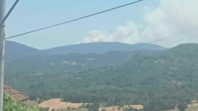 Bursa’nın Mustafakemalpaşa ilçesinde ormanlık alanda yangın çıktı. Yangın, Mustafakemalpaşa ilçesi