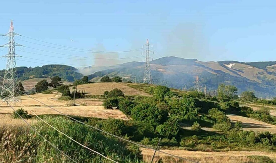 Bursa’da orman yangını Bursa’nın Orhangazi ilçesinde çıkan orman yangını, rüzgarın da etkisiyle büyüdü.