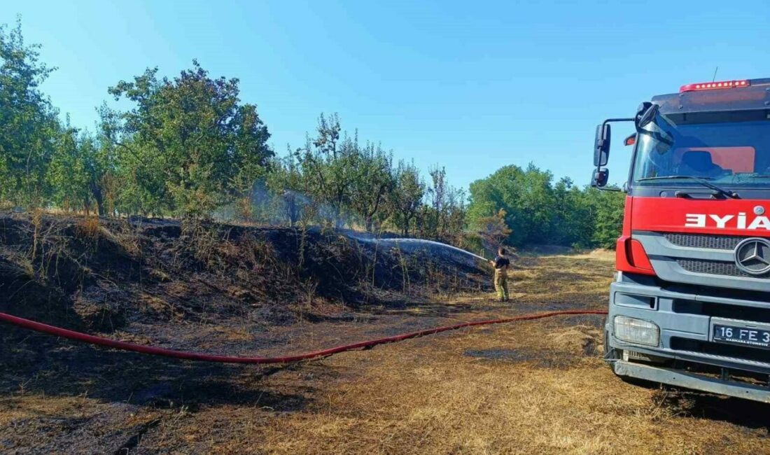 Bursa’nın İnegöl ilçesinde çıkan orman yangını, ekiplerin ve vatandaşların müdahalesiyle