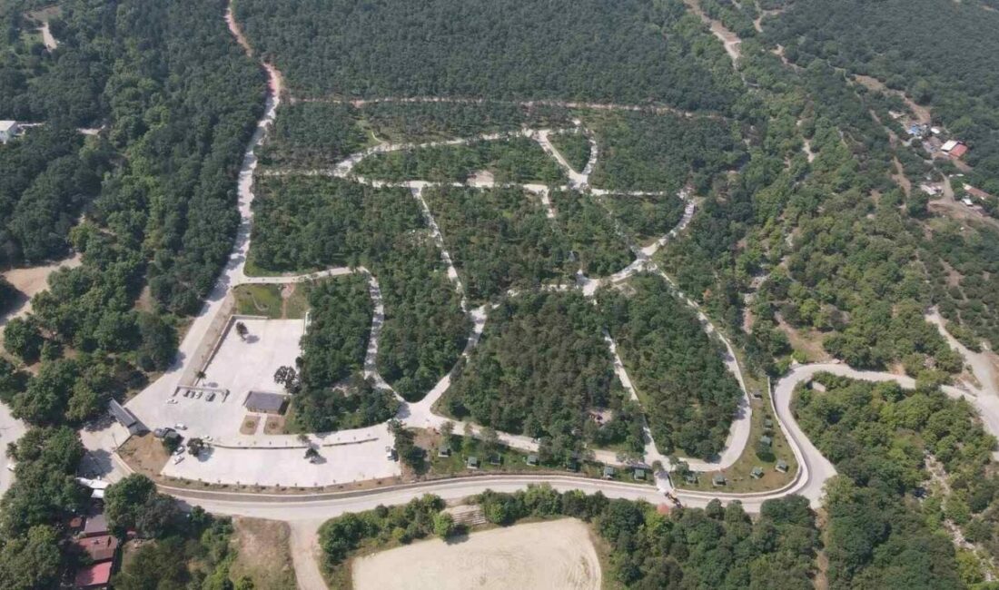 Bursa’da ormanlara giriş yasaklandı Bursa Valiliği, 8 Temmuz-15 Ekim tarihleri arasında il sınırları içerisindeki