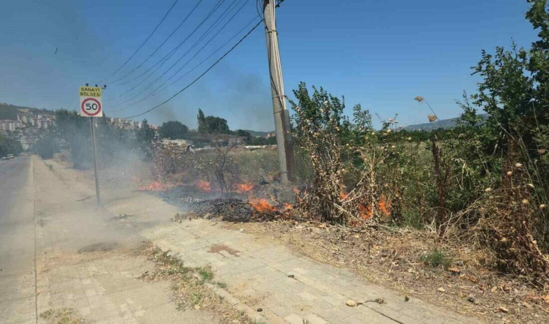 Bursa’da otluk alanda korkutan yangın Bursa’nın Orhangazi ilçesinde meydana gelen olayda Göl yolu üzerindeki bir