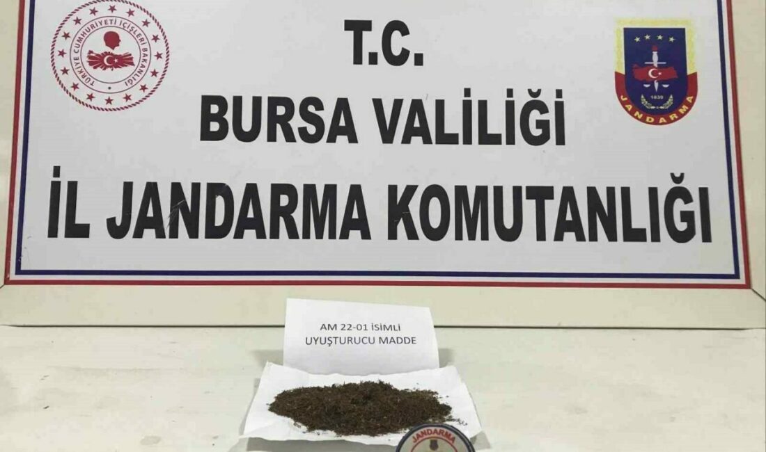 Bursa’nın İnegöl ilçesinde jandarma ekipleri, gerçekleştirdikleri devriye sırasında şüphelendikleri bir