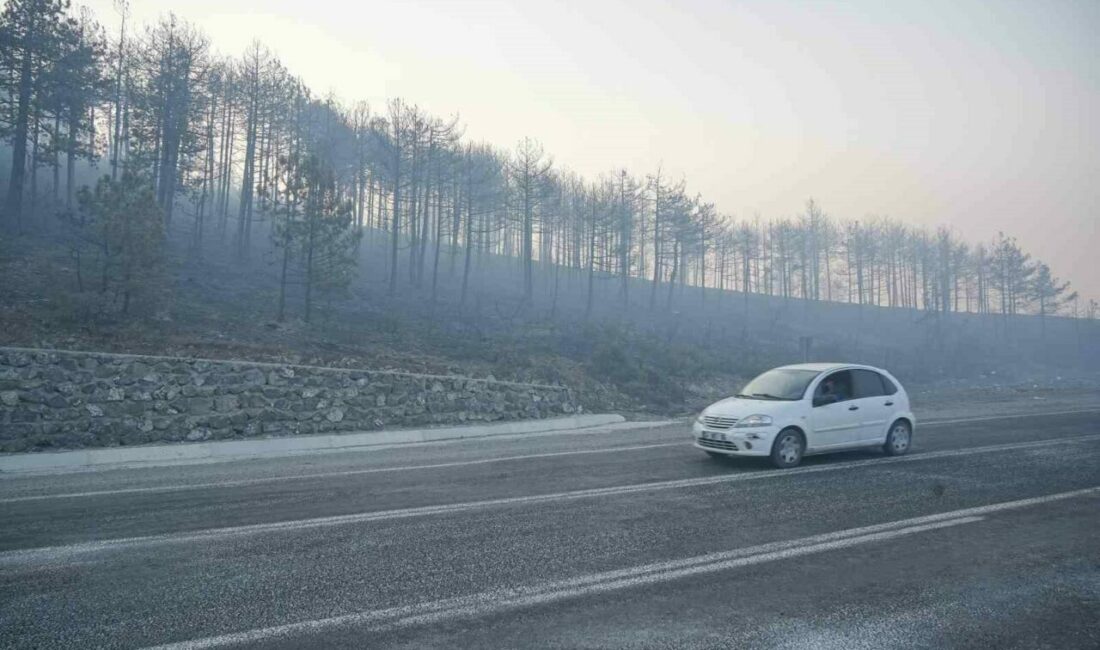 Bursa’daki orman yangını 3. gününde… Gökyüzünü kaplayan duman bulutundan göz gözü görmüyor Bursa’nın Orhaneli ile Harmancık ilçeleri arasında 3 gündür süren orman