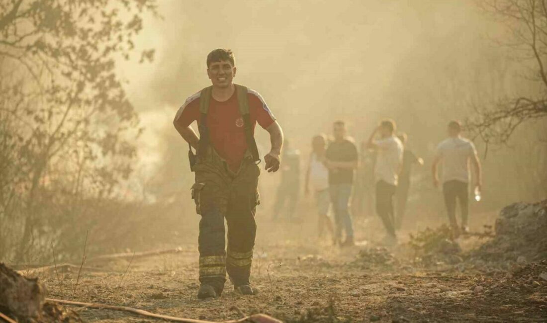 Bursa’nın Nilüfer ilçesine bağlı Kayapa, Güngören ve Maksempınar Mahalleri arasında