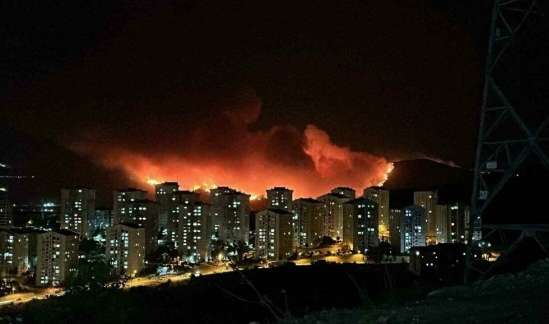 Bursa’nın Gürsu ilçesine bağlı İğdir Köyü sınırları içerisindeki Karatepe mevkisinde