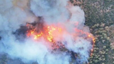 Bursa’nın Kestel ve Gürsu ilçeleri arasındaki ormanlık alanda başlayan yangın