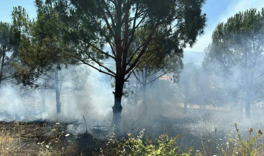 Bursa’daki yangın kontrol altına alındı Bursa’nın Nilüfer ilçesinde ağaçlık alanda çıkan yangın, havadan ve karadan