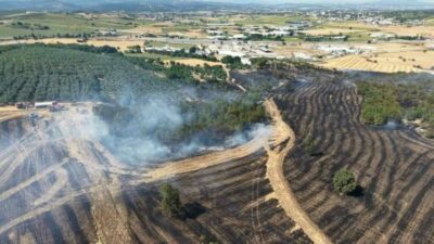 Bursa’nın Nilüfer ilçesinde ekili tarım arazilerinde çıkan yangın kontrol altına