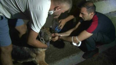 Bursa’da Kestel ve Gürsu ilçeleri arasında ormanlık alanda başlayan yangın,