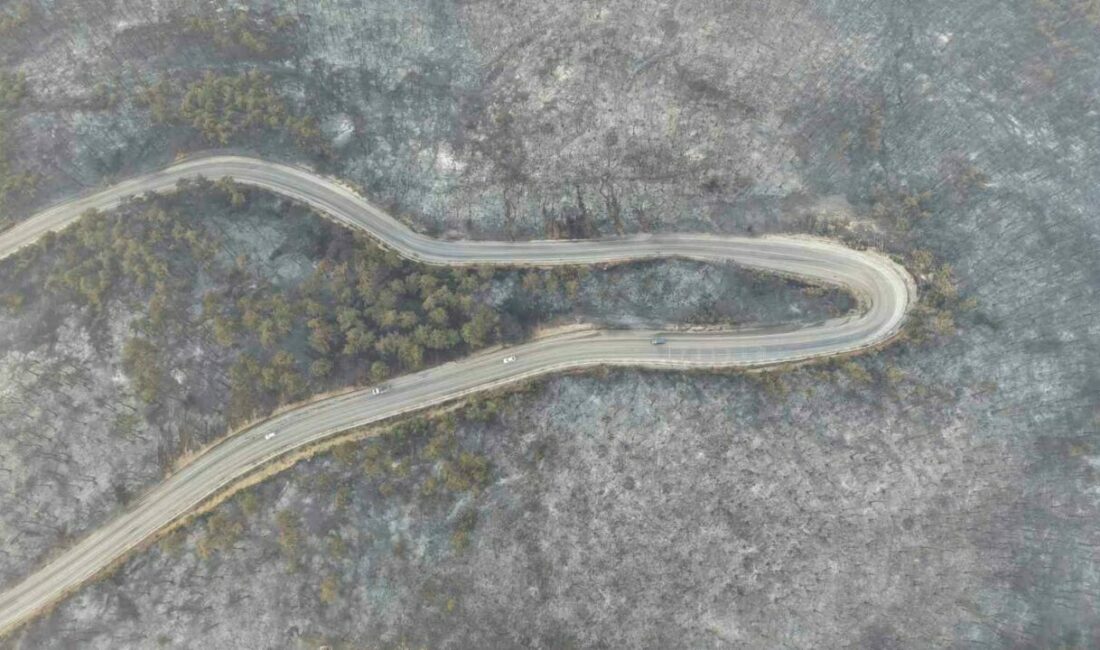 Bursa’daki yangının acı boyutu gün ağarınca ortaya çıktı Bursa’nın Gürsu ve Kestel ilçelerinde başlayıp Osmangazi’deki Avdancık köyünü de