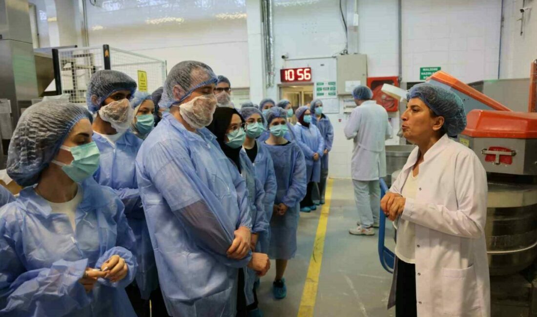 Bursa Büyükşehir Belediyesi Gençlik Kulübü üyesi gençler, ‘Gülümseyen Gençlik’ programı