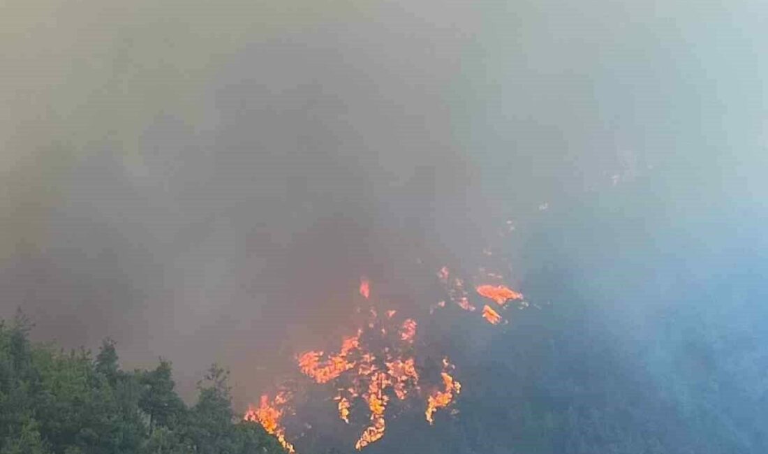 Bursa’nın ciğerleri yanıyor Bursa’da akşam saatlerinde lodos ile birlikte iki ayrı ilçede orman