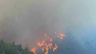 Bursa’da akşam saatlerinde lodos ile birlikte iki ayrı ilçede orman