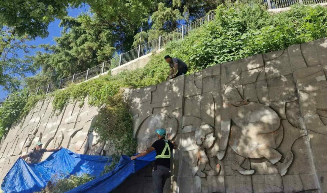 Büyükşehir, Bursalı sanatçı Cemal Nadir’in anısını yaşatıyor Bursa Büyükşehir Belediyesi, Bursalı usta karikatürist Cemal Nadir Güler’in anısını
