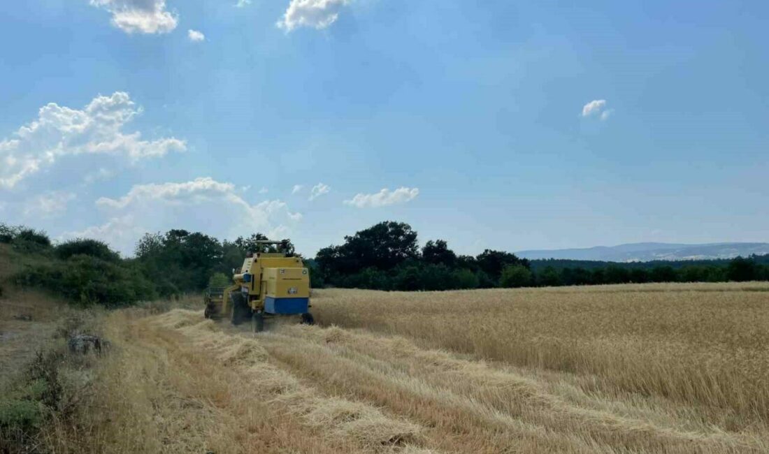 Bursa Büyükşehir Belediyesi, girdi maliyetlerinin azaltılması ve üreticilerin desteklenmesi amacıyla
