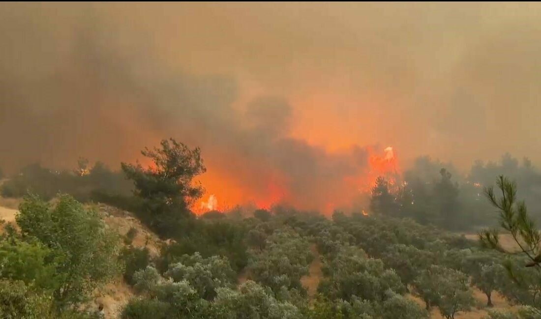-Bilecik’in Osmaneli ilçesinde çıkan orman yangını, şiddetli rüzgarın etkisiyle hızla