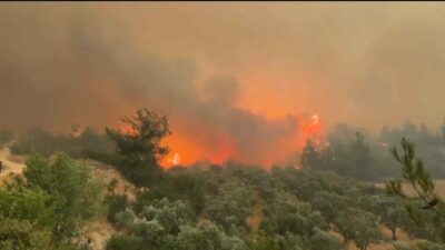 -Bilecik’in Osmaneli ilçesinde çıkan orman yangını, şiddetli rüzgarın etkisiyle hızla