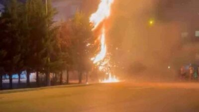 Bursa’da çocukların eğlence için attığı torpil, ağaçlık alanda yangına yol