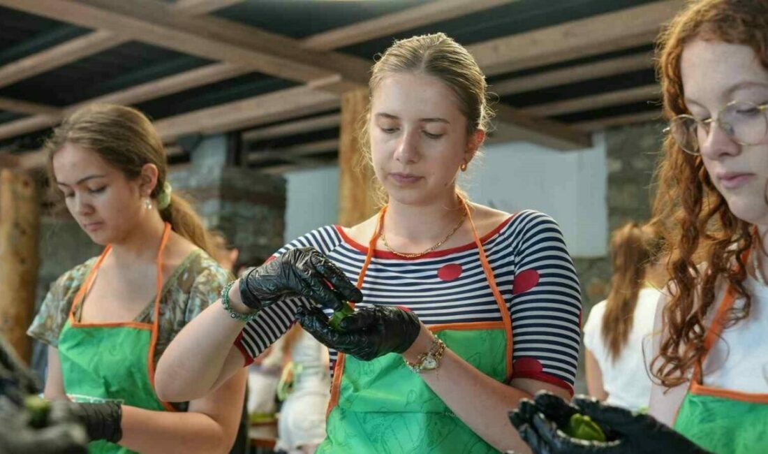 Coğrafi tescilli Gürsu armudu yabancı ellerde kurabiye oldu Gençler Arası Değişim Programı kapsamında Bursa’ya gelen yabancı öğrenciler, Türk