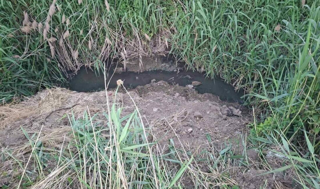 Dereye akan lağım suyu mahalleliyi nefes alamaz hale getirdi Bursa’nın İnegöl ilçesinde, açıkta akan lağım karıştığı dere, mahalle sakinlerini