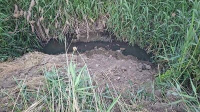 Bursa’nın İnegöl ilçesinde, açıkta akan lağım karıştığı dere, mahalle sakinlerini