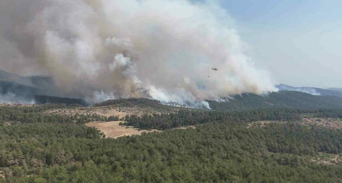 Harmancık Meyrandağı’ndaki yangın dronla böyle görüntülendi Bursa’nın Harmancık ilçesinde, Meyrandağı bölgesinde çıkan orman yangını kontrol altına