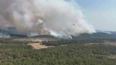 Bursa’nın Harmancık ilçesinde, Meyrandağı bölgesinde çıkan orman yangını kontrol altına