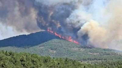 Bursa’nın Harmancık ilçesindeki orman yangını tekrar başladı. Bölgeye, 3 uçak
