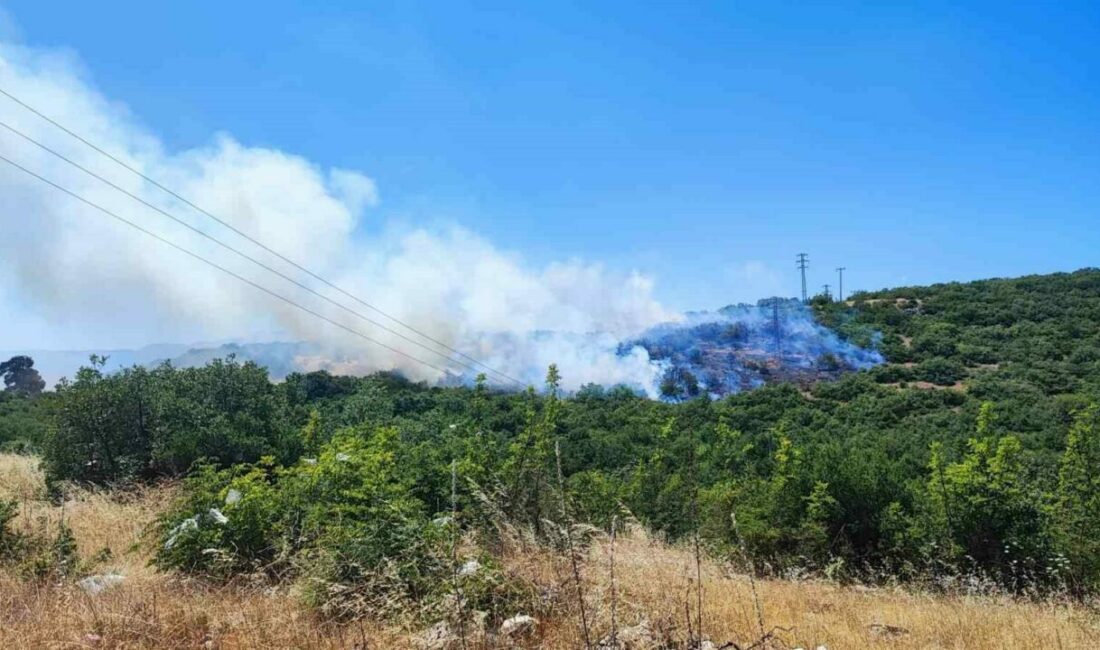 Bursa’nın İnegöl ilçesindeki orman yangını kontrol altına alındı. Yangın, saat
