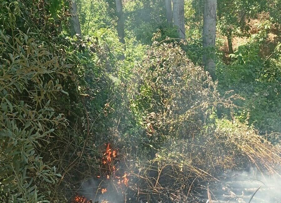 Bursa’nın İznik ilçesinde ormanlık alanda çıkan yangın, itfaiye ekiplerinin hızlı