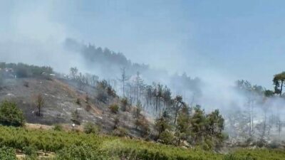 Bursa’nın İznik ilçesinde çıkan orman yangını ekiplerin hızlı müdahalesiyle kontrol