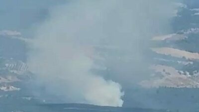 Bursa’nın İznik ilçesi Ömerli Mahallesi mevkisinde orman yangını başladı. Yangın,