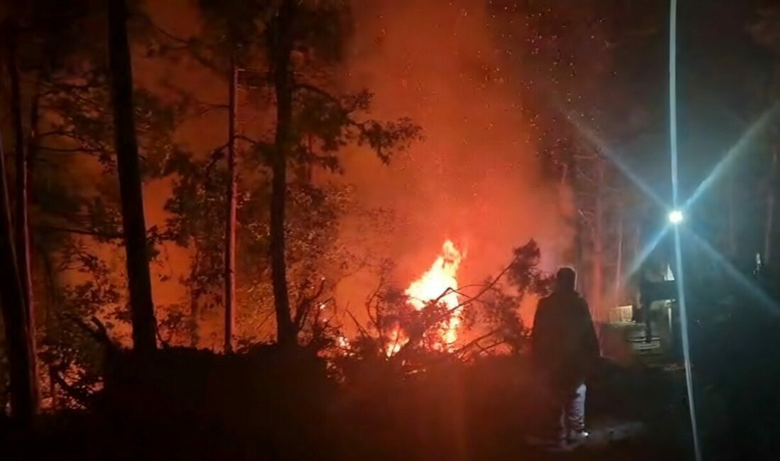 Karacabey Belediyesi’nden Alacaat’taki yangına karşı destek Karacabey Belediyesi, Mustafakemalpaşa’nın Alacaat Mahallesi’nde 23 saat süren orman yangınına
