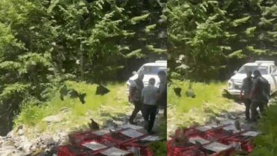 Doğa Koruma ve Milli Parklar Müdürlüğü, Kırım Kongo Kanamalı Ateşi