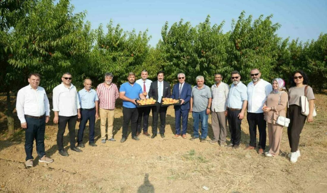 Libya Yenişehir arasında yapılacak olan tarım ürünlerinin ihracatı konusunda sona