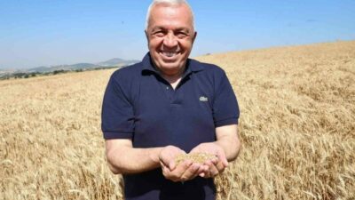 Nilüfer Belediyesi’nin NİLKOOP iş birliği ile ekimini gerçekleştirdiği buğdayın ilk