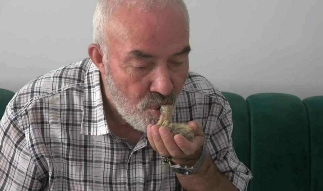 Ölmek üzereyken bulduğu kuşu ağzıyla besliyor Bursa’da oğluna misafirliğe gelen Yusuf Ovalı, evin arkasında ölmek üzere