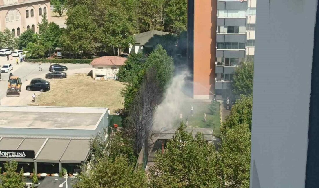 Şehrin merkezindeki alevler korku yaşattı Bursa’nın merkezinde bir kafenin bulunduğu alandaki ağaçların alev alması, korku