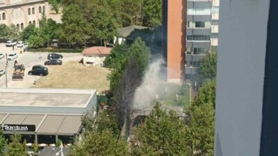 Bursa’nın merkezinde bir kafenin bulunduğu alandaki ağaçların alev alması, korku
