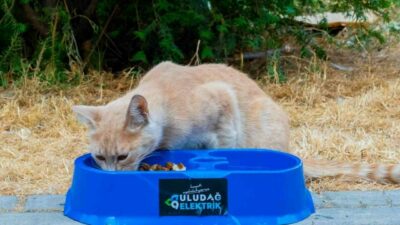 Uludağ Elektrik, ’Sevgimiz, Enerjimiz Sizinle’ projesiyle, yaz aylarında artan sıcaklık