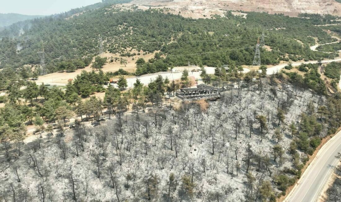 Tarihinin en büyük Gürsu yangınından yürek burkan bu manzaralar kaldı Bursa’nın Gürsu ilçesinde çıkan ve tarihinin en büyük felaketlerinden birisi
