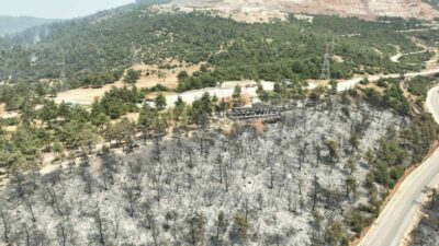 Bursa’nın Gürsu ilçesinde çıkan ve tarihinin en büyük felaketlerinden birisi